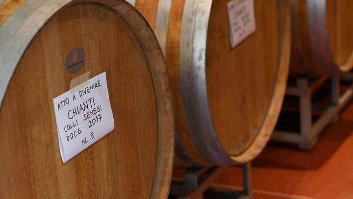 Family Vineyard Visit near San Gimignano with Appetizers and Four Wines (2/5)