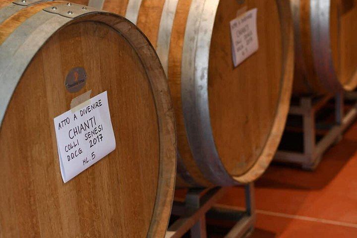 Family Vineyard Visit near San Gimignano with Appetizers and Four Wines (2/5)