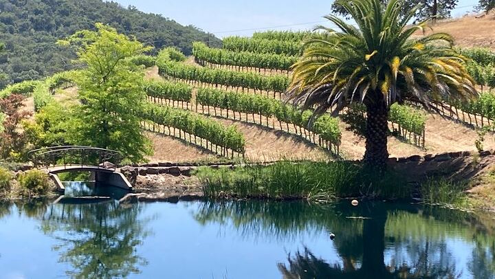 Private Chauffeured Napa and Sonoma Wine Tour for 2 to 5 People, 5 Hours (3/12)