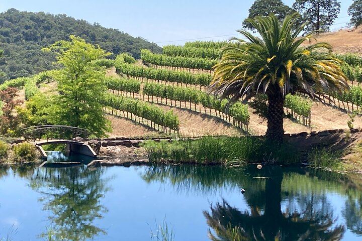 Private Chauffeured Napa and Sonoma Wine Tour for 2 to 5 People, 5 Hours (3/12)
