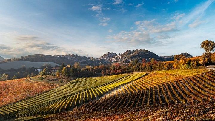 Cantina Moscone in La Morra: Winery Tour and "Il Dosman" Tasting of Three Wines (4/12)