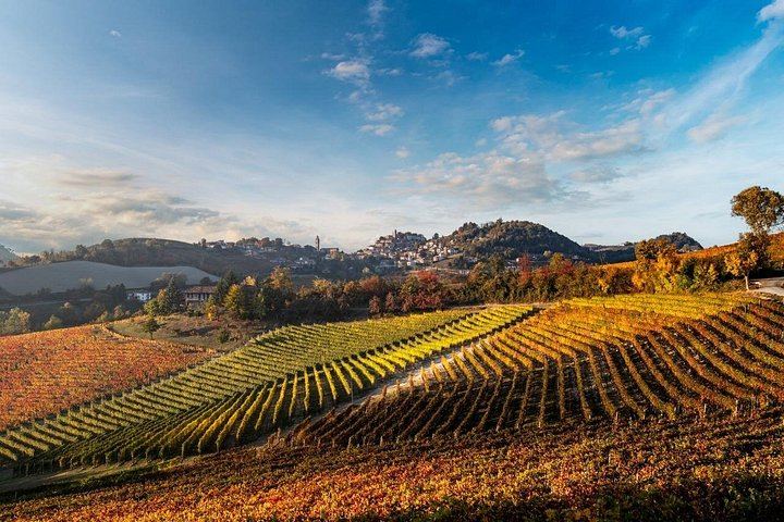 Cantina Moscone in La Morra: Winery Tour and "Il Dosman" Tasting of Three Wines (4/12)
