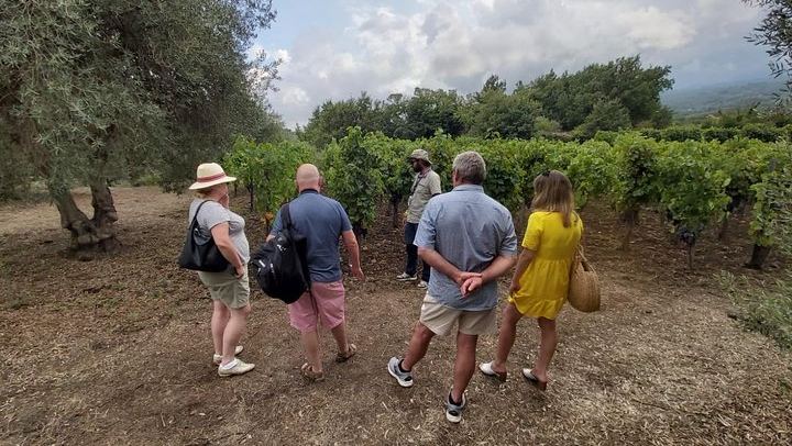 Small-Group Day from Taormina: Castiglione di Sicilia and Two Etna Wineries with Lunch (2/7)