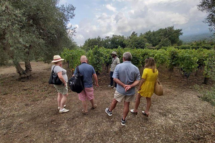 Small-Group Day from Taormina: Castiglione di Sicilia and Two Etna Wineries with Lunch (2/7)