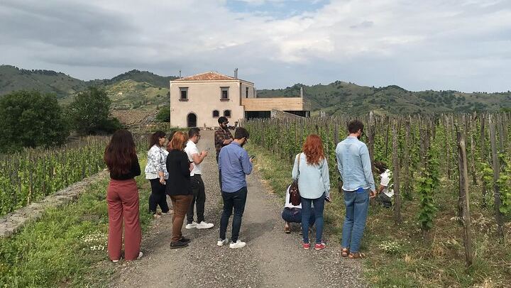 Small-Group Day from Taormina: Castiglione di Sicilia and Two Etna Wineries with Lunch (3/7)