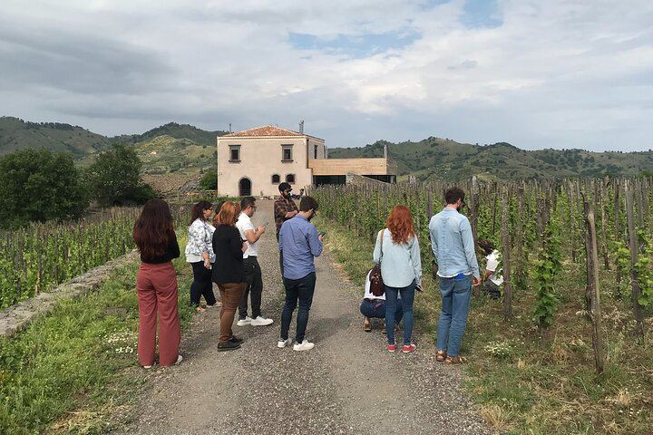 Small-Group Day from Taormina: Castiglione di Sicilia and Two Etna Wineries with Lunch (3/7)