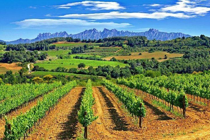 Montserrat and Sant Sadurni Cava Town Small-Group Tour, Max 8 Guests, Hotel Pickup (10/12)
