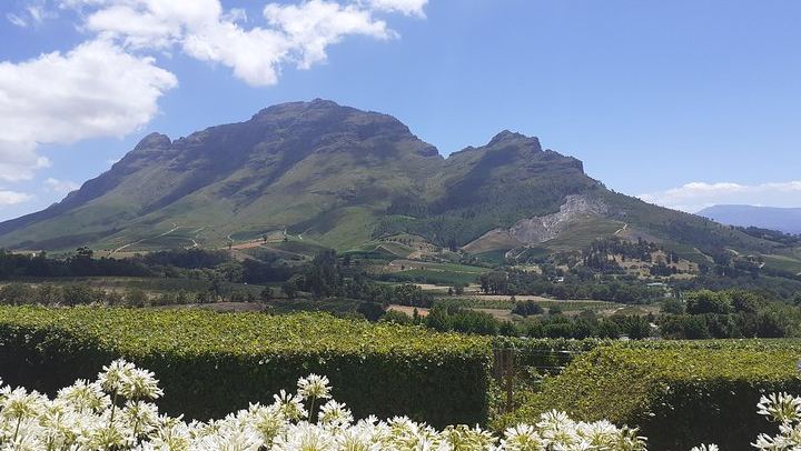Sip and Savor Half-Day Wine Escape: Fairview Cheese and Marianne Biltong (4/12)
