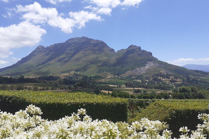 Sip and Savor Half-Day Wine Escape: Fairview Cheese and Marianne Biltong (4/12)