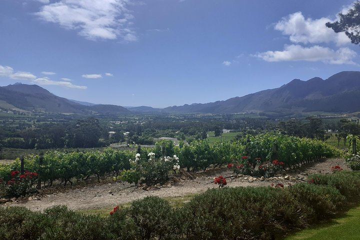 Sip and Savor Half-Day Wine Escape: Fairview Cheese and Marianne Biltong (5/12)