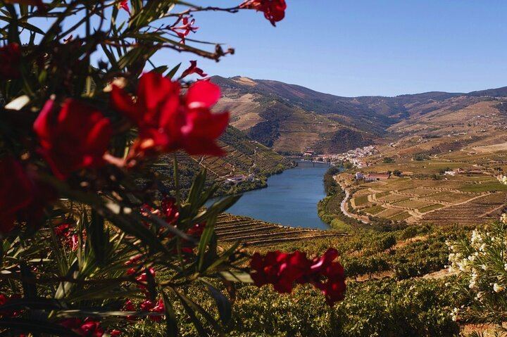 Douro Three-Winery Small-Group Tour from Porto: Régua, Lunch and Sabrosa Tasting (2/12)