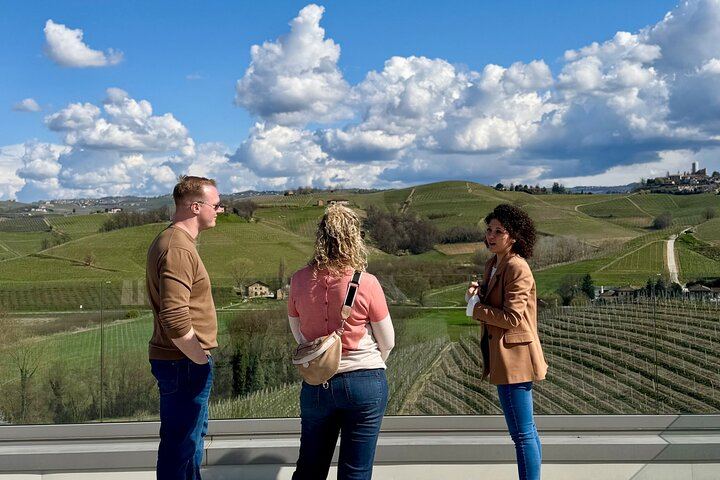 Private Tesla Wine Tour from Alba: Barolo and Barbaresco with Sommelier Pier and Chiara (8/12)