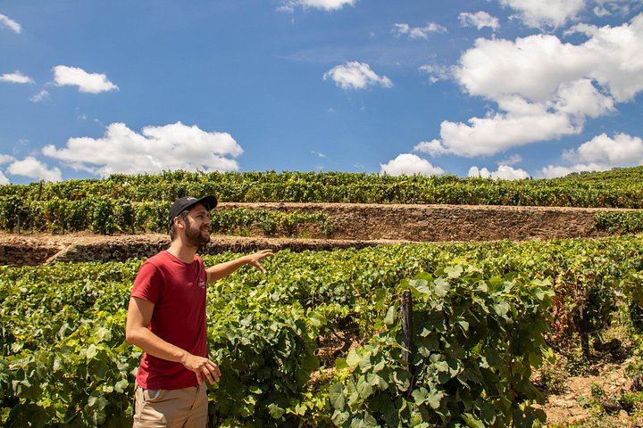 Private 9-Hour Douro Tour: Amarante, Galafura, Rabelo Cruise, Lunch and Estate Tasting (6/12)