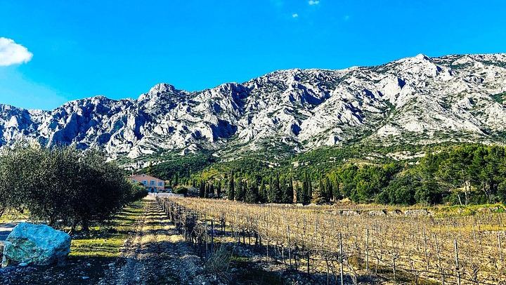Private Cézanne and Wine Tour from Aix-en-Provence: Domaine St-Ser and Terre de Mistral (1/12)