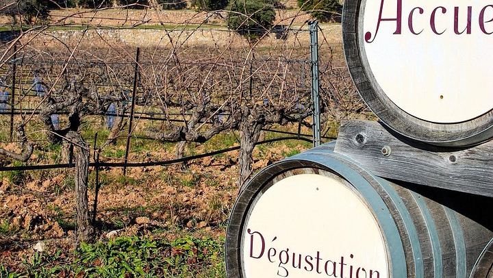 Private Cézanne and Wine Tour from Aix-en-Provence: Domaine St-Ser and Terre de Mistral (3/12)