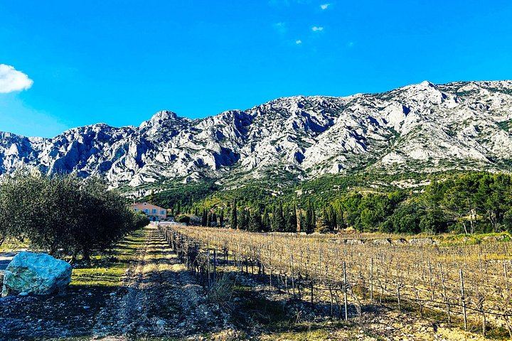 Private Cézanne and Wine Tour from Aix-en-Provence: Domaine St-Ser and Terre de Mistral (1/12)