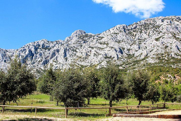 Private Cézanne and Wine Tour from Aix-en-Provence: Domaine St-Ser and Terre de Mistral (8/12)