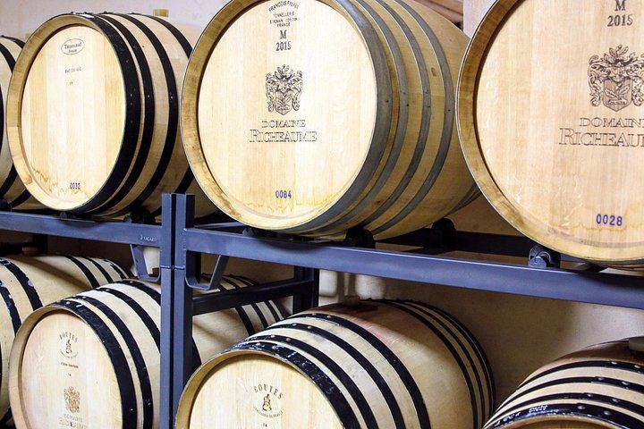 Private Cézanne and Wine Tour from Aix-en-Provence: Domaine St-Ser and Terre de Mistral (7/12)