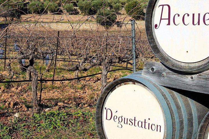 Private Cézanne and Wine Tour from Aix-en-Provence: Domaine St-Ser and Terre de Mistral (3/12)