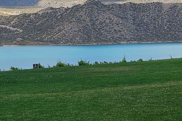 Mendoza Custom Wine Tour: Vineyards, Mountain Views and Paired Lunch