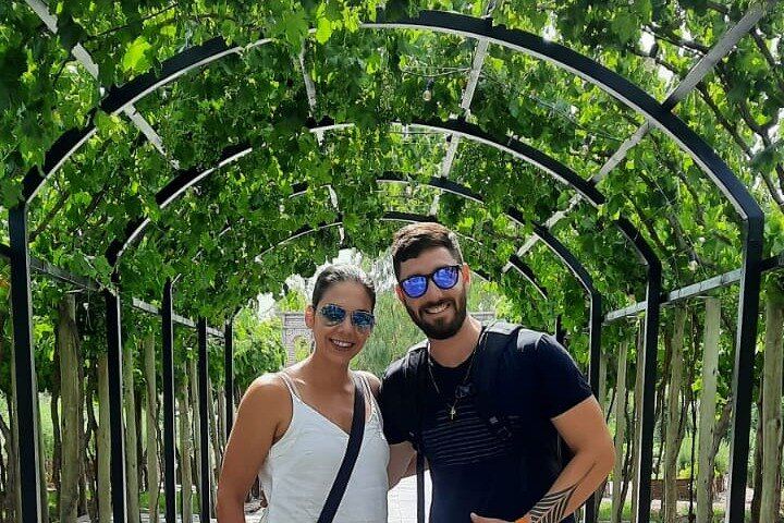 Mendoza Custom Wine Tour: Vineyards, Mountain Views and Paired Lunch (3/5)