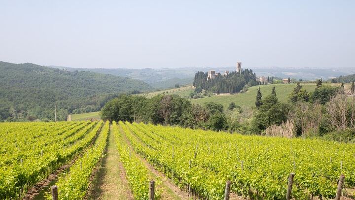 Five-Hour Chianti Sunset Tour from Florence with Driver and Two Tastings at a Family Farm (4/11)