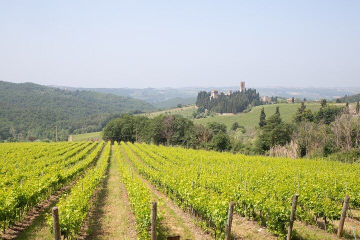 Five-Hour Chianti Sunset Tour from Florence with Driver and Two Tastings at a Family Farm (4/11)