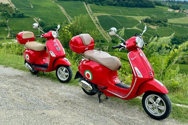 Private Vespa Ride from Alba into Alta Langa Hazelnut Country and Barolo, up to 750 m (2/12)