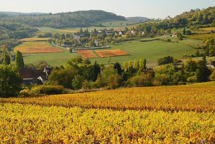 Burgundy Bike and Wine Tour: Downhill from Beaune with a Minivan Transfer and 4 Wines (9/12)