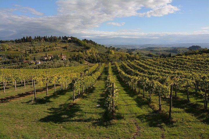Private Day Trip from Florence to San Gimignano and Chianti by Deluxe Minivan, Commentary (5/8)