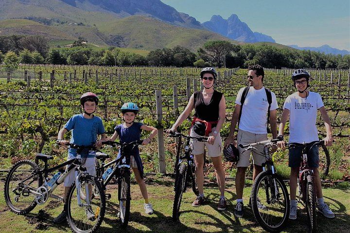 Guided Mountain Bike Tour of Stellenbosch with Lanzerac and Stark-Conde Wine Tastings (7/9)
