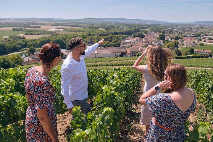 Small Group Champagne Day from Reims or Épernay Station: Estate Lunch, Champagne Pairing (6/9)