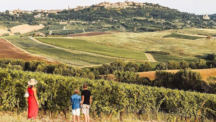 Vino Nobile di Montepulciano Producer Tour: From the Vineyard to the Cellar with Makers (1/3)