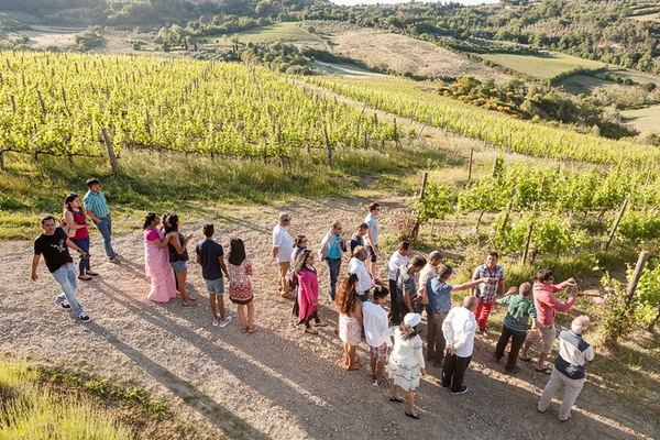 Vino Nobile di Montepulciano Producer Tour: From the Vineyard to the Cellar with Makers