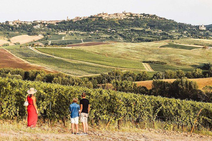 Vino Nobile di Montepulciano Producer Tour: From the Vineyard to the Cellar with Makers (1/3)