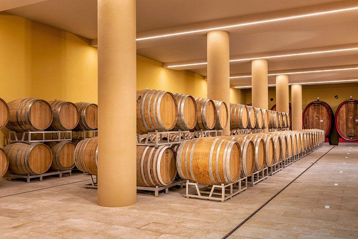 Organic Vineyard Visit and Vino Nobile Tasting with Calamus and Muffato, Montepulciano (7/7)