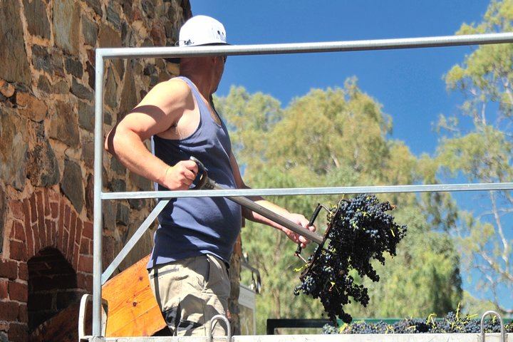 Barossa Valley Voyager Small Group Tour, Maximum 8 Guests, from Adelaide (7/9)