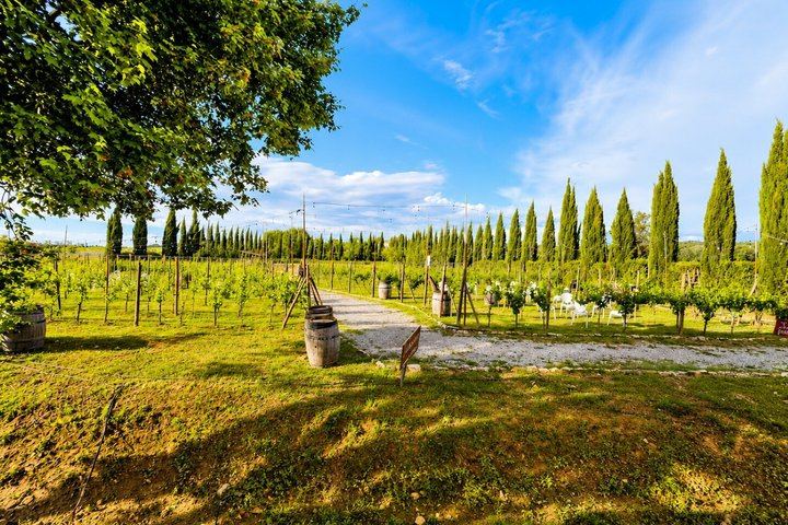 Vintage Fiat 500 Private Driver Tour from Certaldo: San Gimignano and Lunch (10/12)