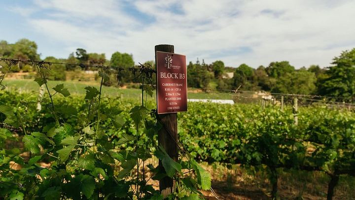 African Story 8-Hour Winelands Tour: Paarl, Franschhoek and Stellenbosch Estates (2/12)