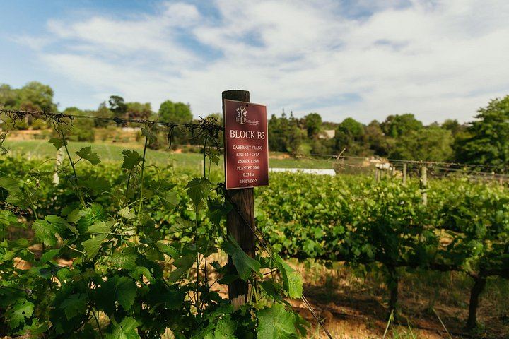 African Story 8-Hour Winelands Tour: Paarl, Franschhoek and Stellenbosch Estates (2/12)