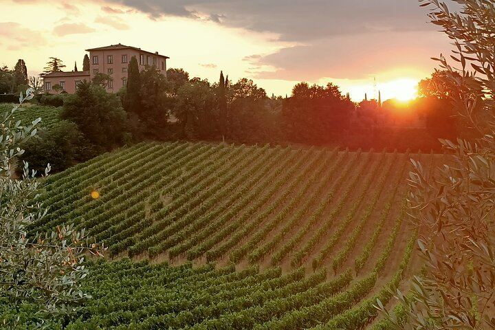 Florence Small Group of 6: Boutique Brunello Farm Lunch, Val d'Orcia and Montepulciano (10/12)