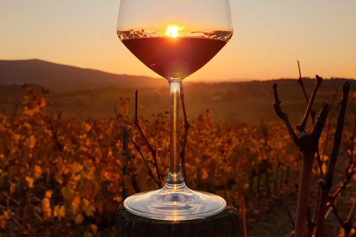 Florence Small Group of 6: Boutique Brunello Farm Lunch, Val d'Orcia and Montepulciano (11/12)