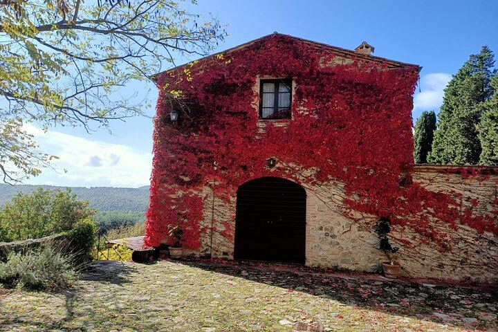 Semi-Private Chianti Classico and Montalcino Day from Siena, Max 6 Guests, Licensed Guide (6/12)