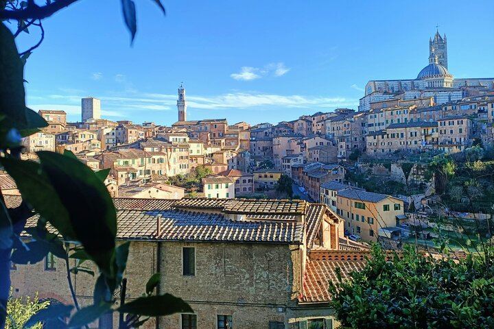 Siena Small-Group Tuscany Day: Chianti Classico, Brunello Winery, Pienza and Lunch (9/12)