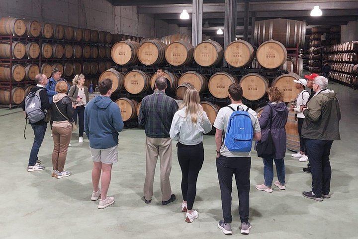 Private Douro Valley Tour Built Your Way: Choose Estates, Lunch, Boat and Family Add-Ons (5/12)