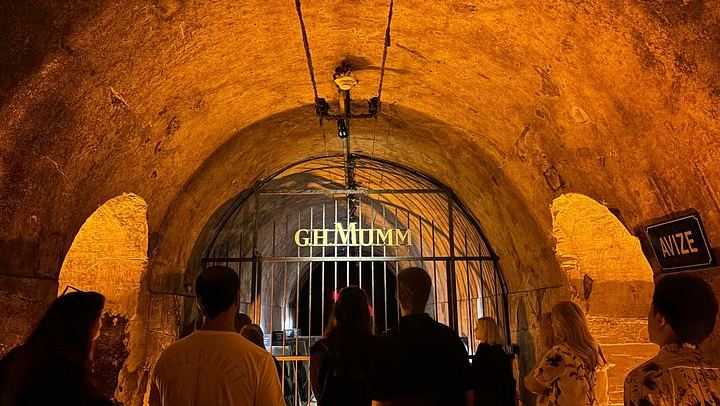 Full-Day Champagne Tour: Mumm Cellars in Reims, Winery Lunch, Hautvillers, Family Grower (3/12)