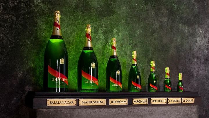Full-Day Champagne Tour: Mumm Cellars in Reims, Winery Lunch, Hautvillers, Family Grower (4/12)