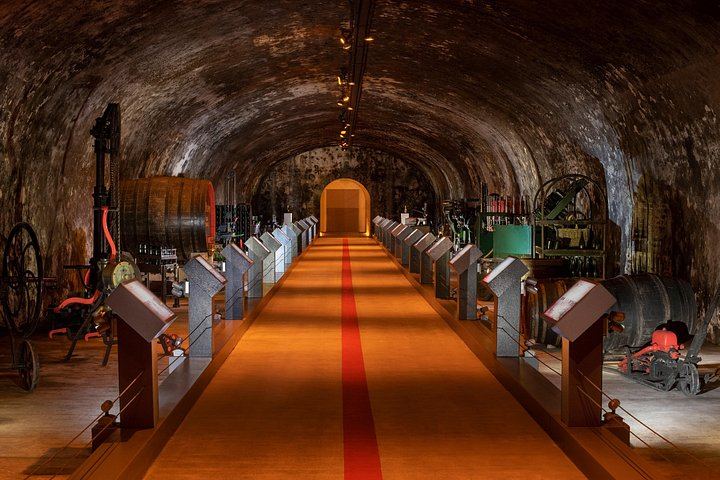 Private Half Day from Paris to Reims: Mumm Cellars, Reims Cathedral and Lunch (5/6)