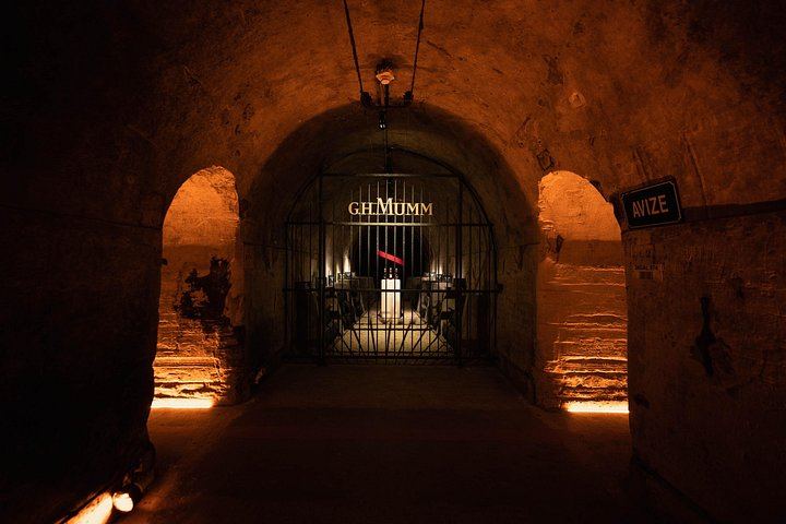 Full-Day Champagne Tour: Mumm Cellars in Reims, Winery Lunch, Hautvillers, Family Grower (5/12)