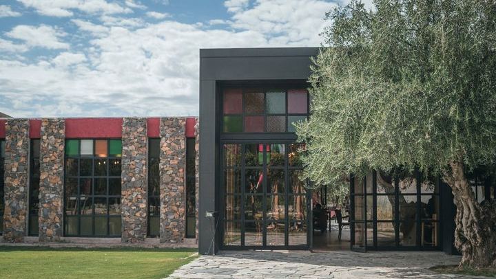 Private Mendoza Day: Casa Vigil El Enemigo Tasting and Lunch at Bodega López (4/11)